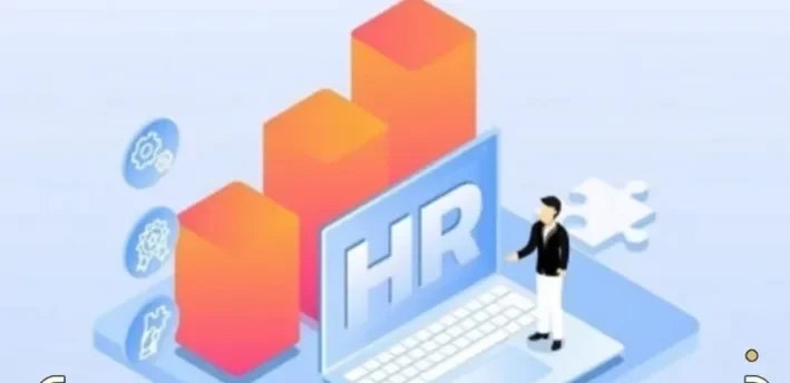 人力资源管理专业：理论知识与实践技能的结合