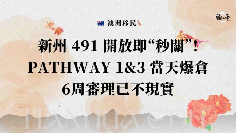 新州491開放及秒關