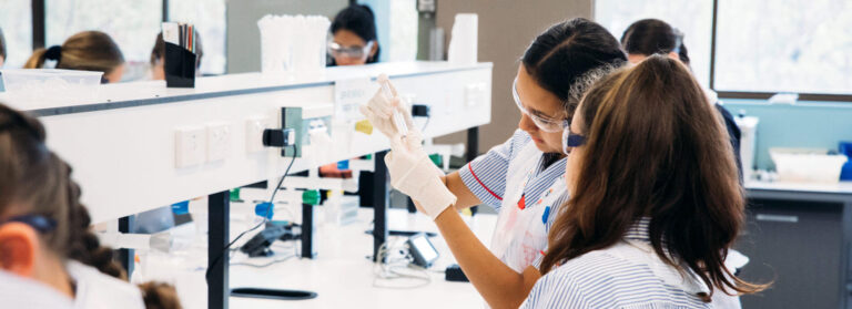 students study in Griffith University