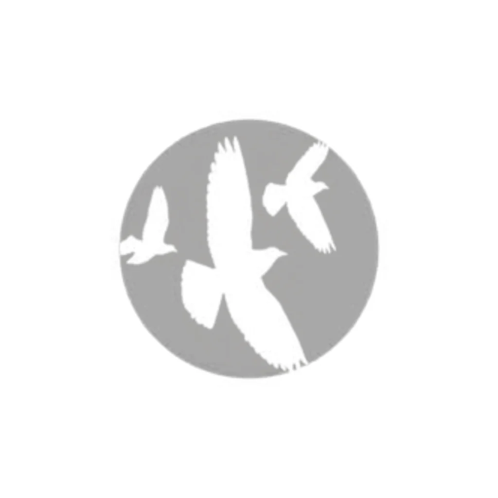 Hobsonville Point Secondary School logo
